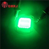 100w Goleuadau Modiwl Sglodion CobIau Led Pwer Uchel Ffynhonnell